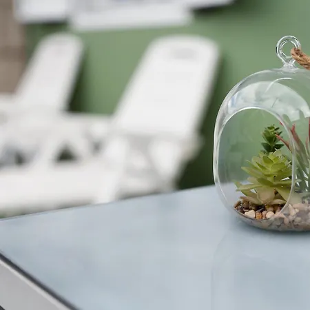 Sunset Gabriela Candelaria